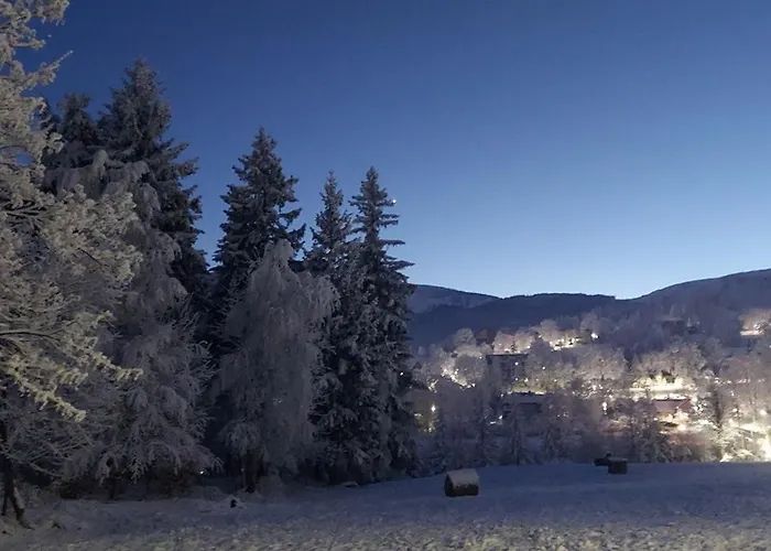 19a منزل للإقامة