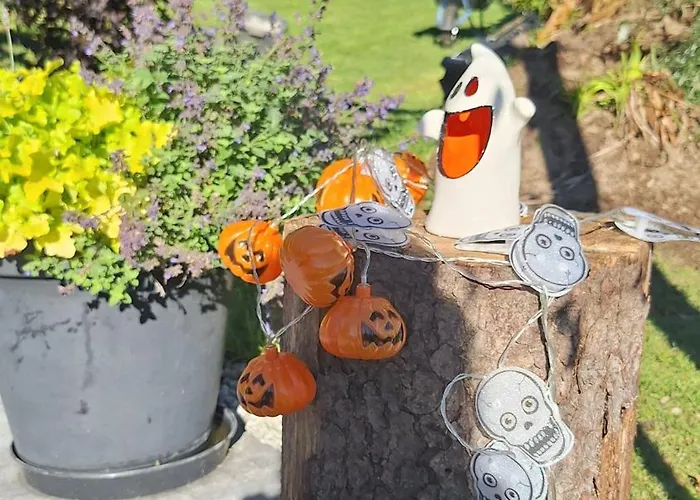 منزل للإقامة 19a