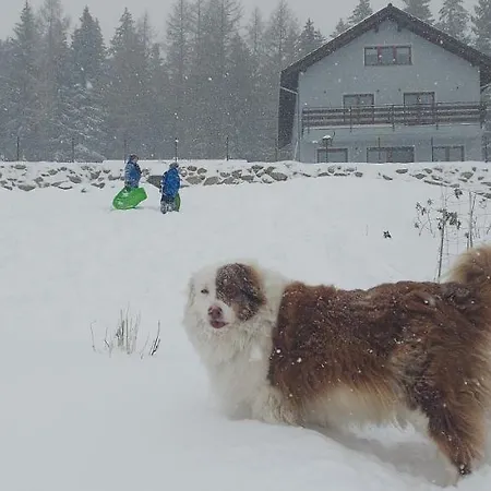 홈스테이 19a 카르파츠