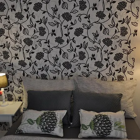 홈스테이 19a 카르파츠