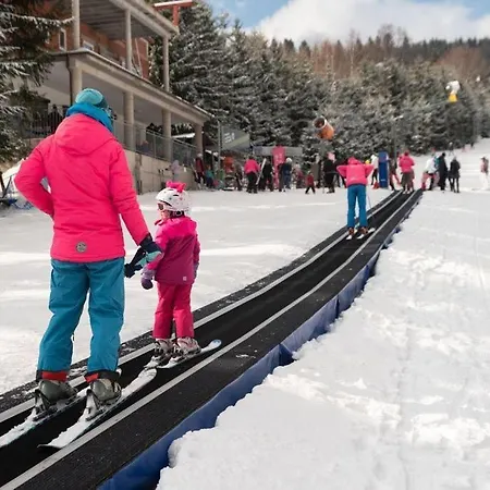 19a 홈스테이 카르파츠