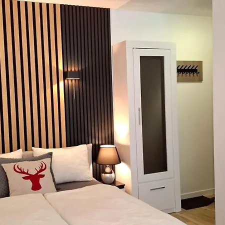 홈스테이 19a 카르파츠