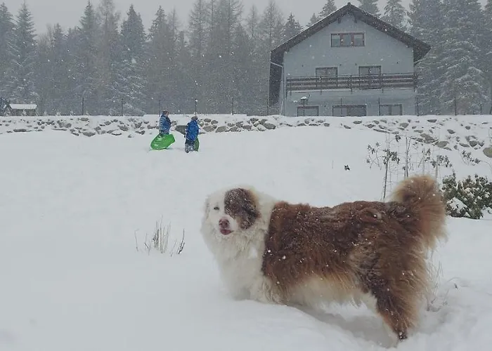 Accommodatie bij particulieren 19a Karpacz