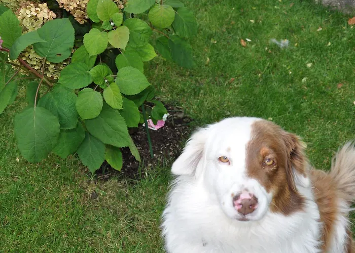 Accommodatie bij particulieren 19a Karpacz