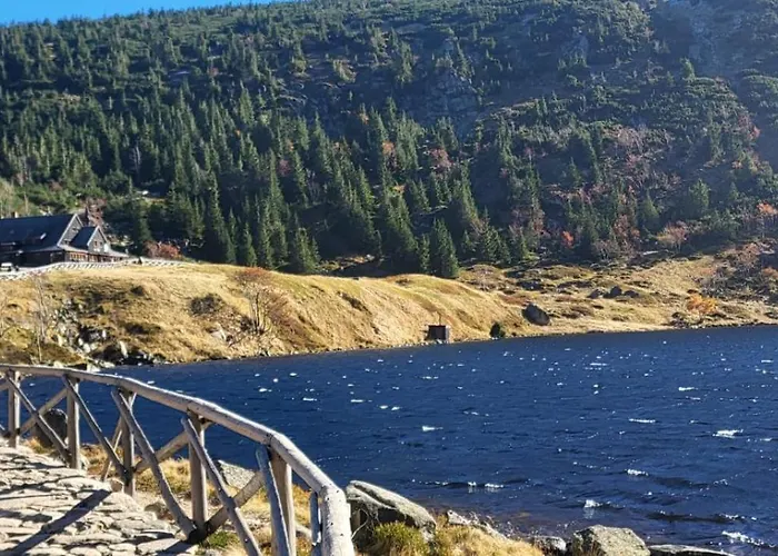 19a Accommodatie bij particulieren