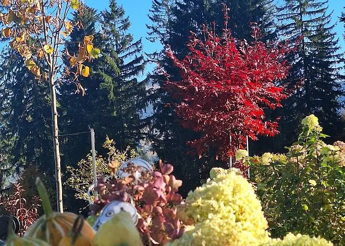 Accommodatie bij particulieren 19a