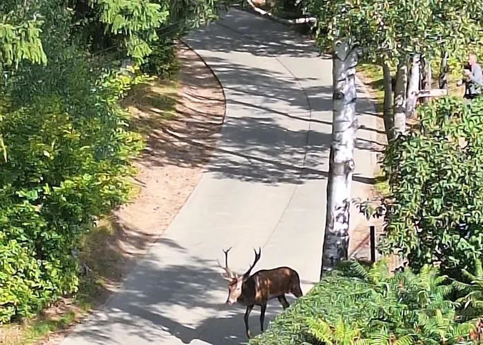 Accommodatie bij particulieren 19a Karpacz